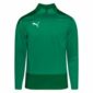 PUMA Trainingsshirt teamGOAL 23 Kwartrits - Groen/Groen