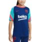 Nike - FCB Strike Short Sleeve Top - FC Barcelona Shirt Kids