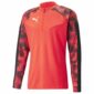PUMA Trainingsshirt IndividualFINAL Kwartrits WK - Rood/Zwart