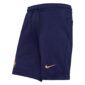Frankrijk Sweatshorts Nsw Tech Fleece Euro 2024 - Blauw/goud - Nike, maat Large